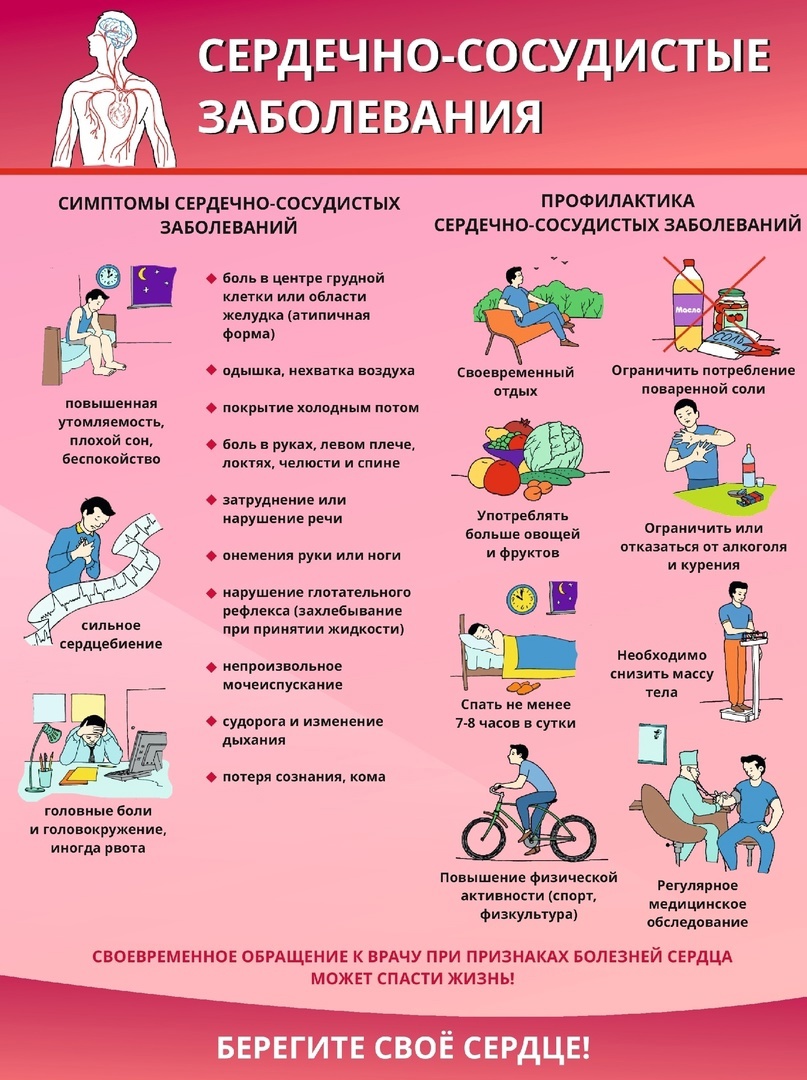 Памятка по сердечно-сосудистым заболеваниям