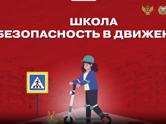 Правила передвижения на СИМ